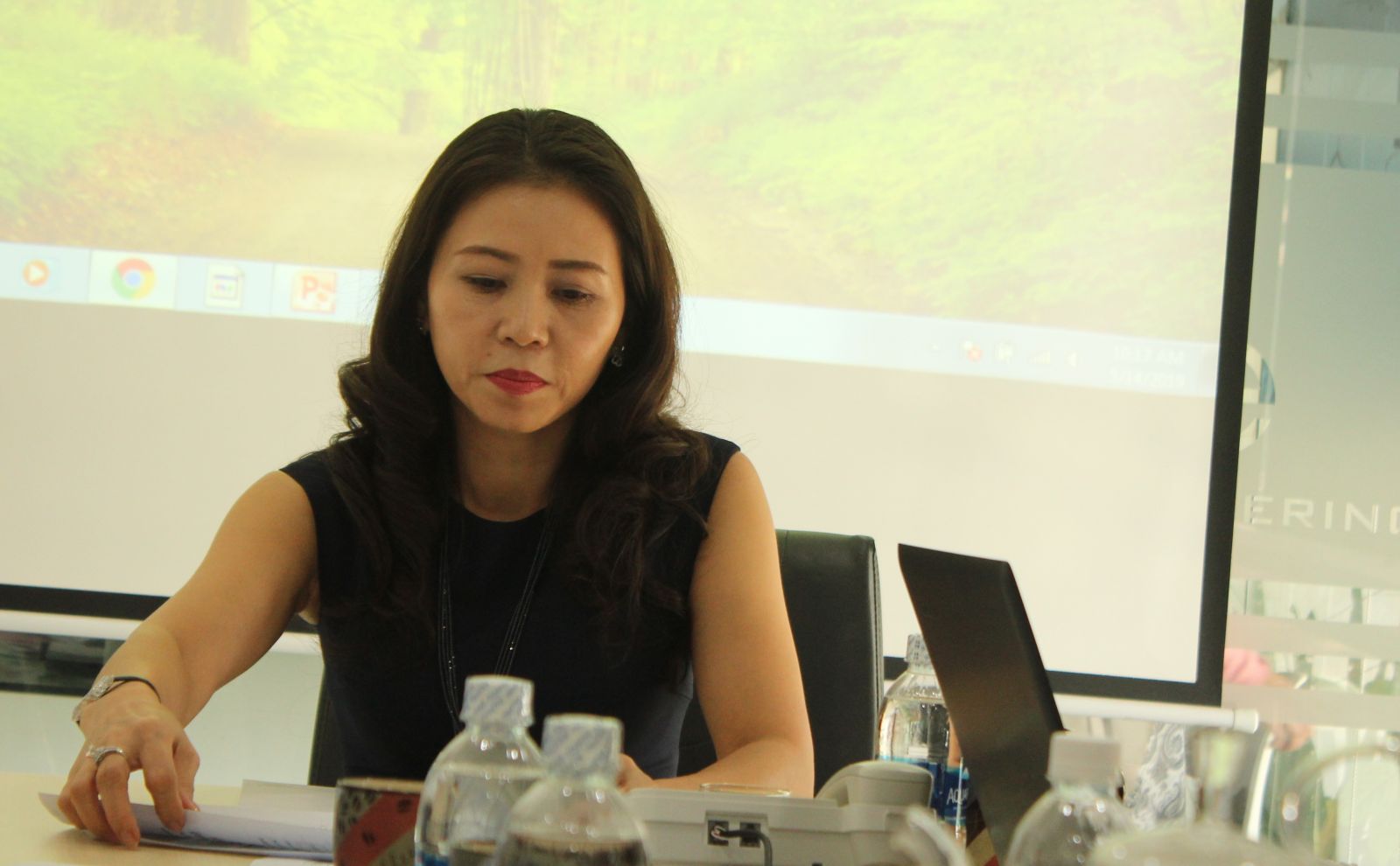 Bà Trương Thị Nguyệt Ánh, Tổng Giám đốc Công ty Cổ phần Kỹ thuật Bình Sơn